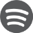 Spotify Artist Page.